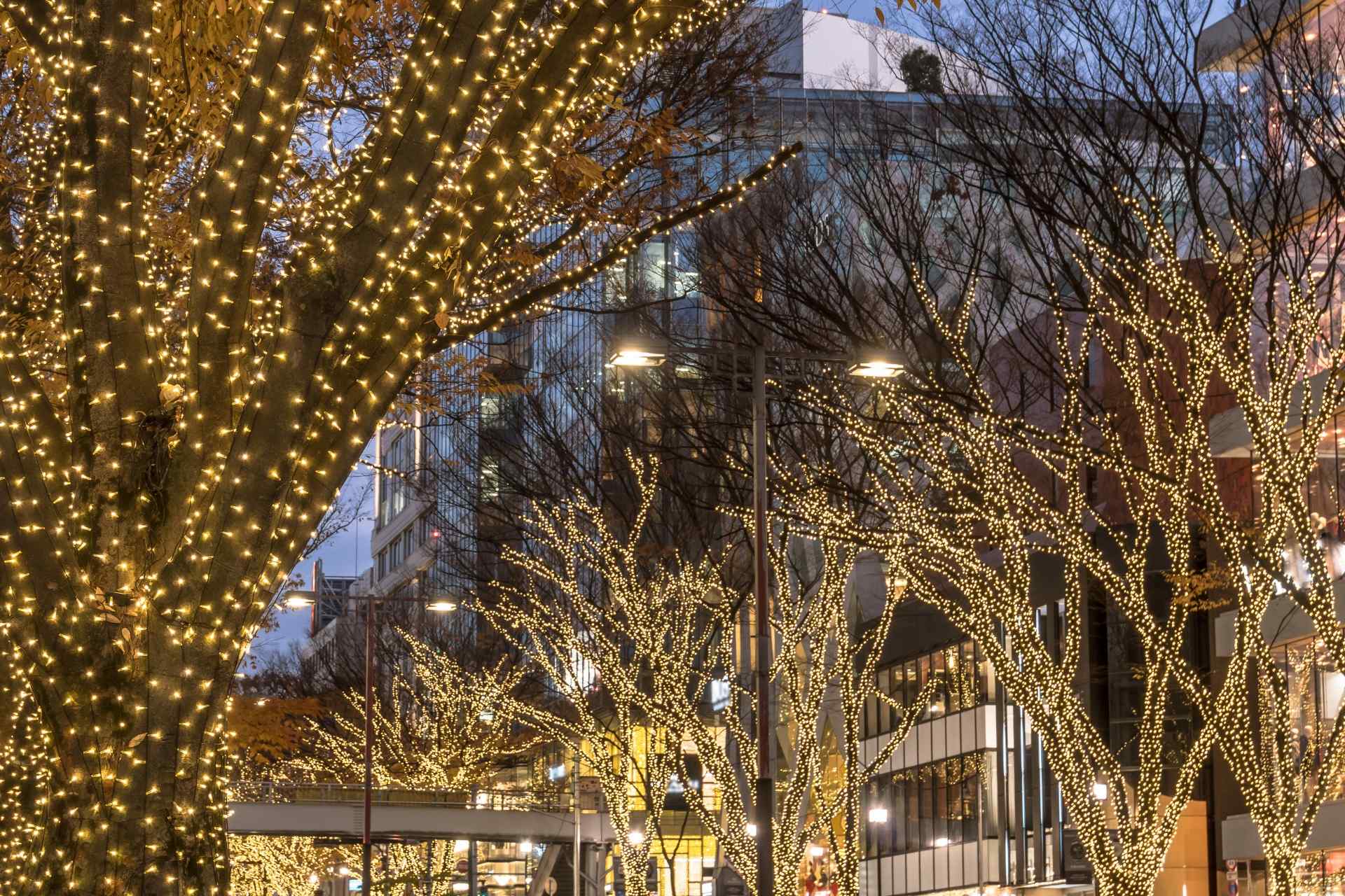 イルミネーションの設置工事 | 大阪のLEDなら有限会社ハドル